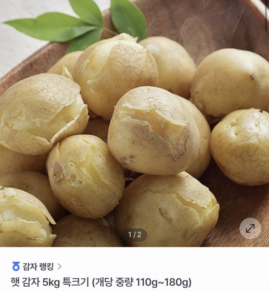 노지 햇감자 특크기 5kg (11,900원/무료)