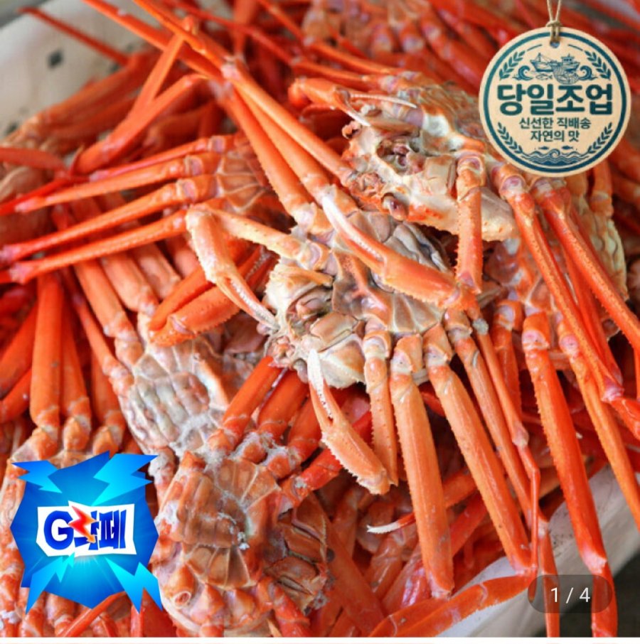자숙홍게 6kg (14,610원/무료)