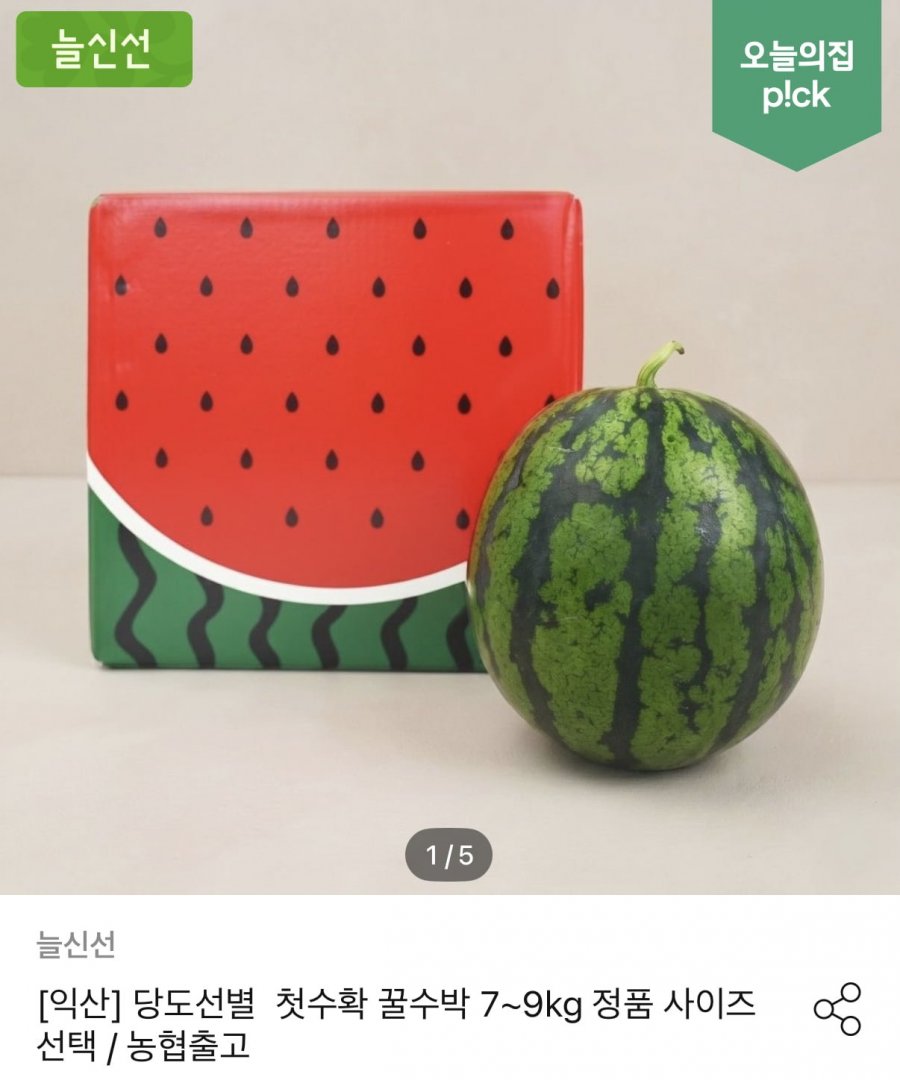 늘신선 농협 특품 고당도 수박 6kg (16,794원/무료)