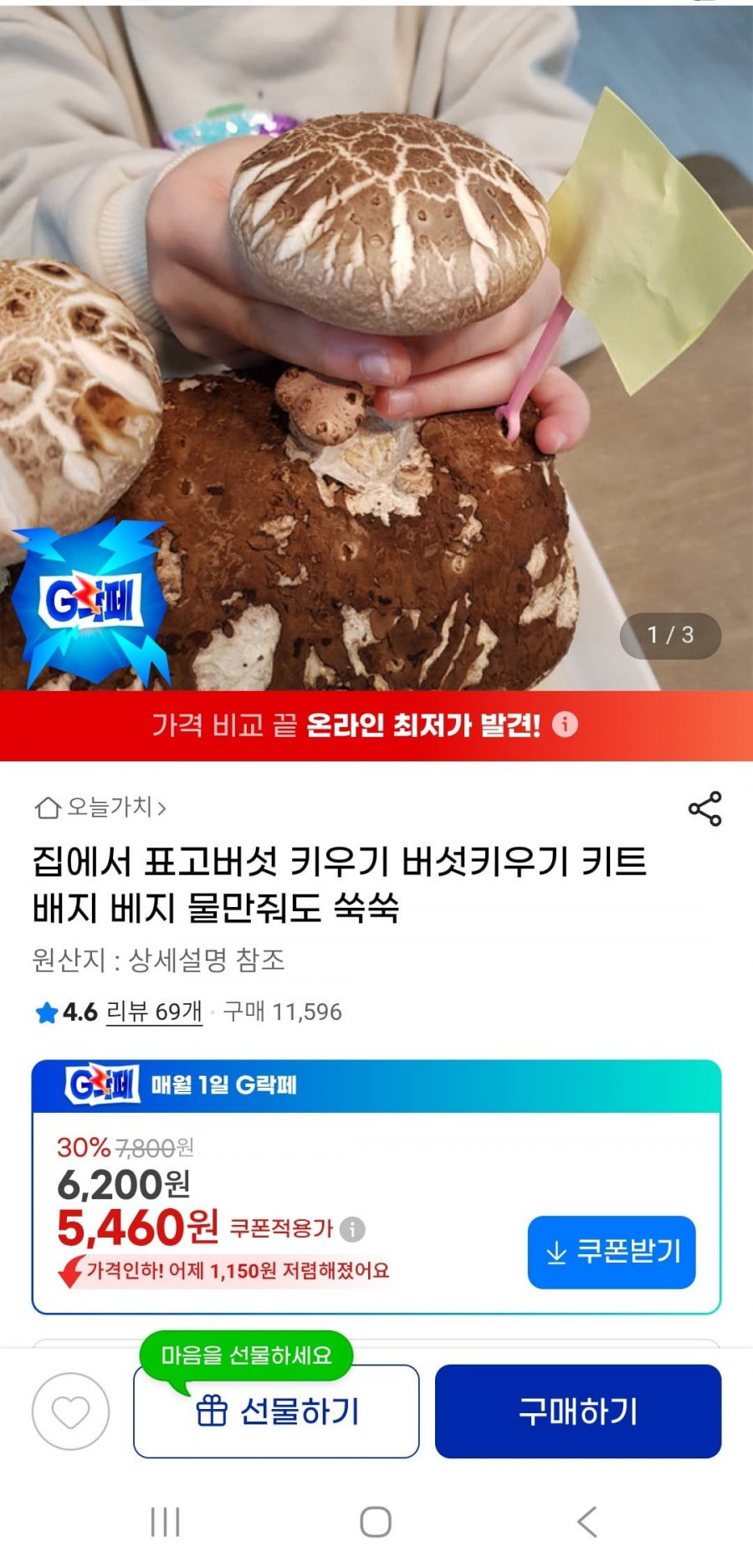 표고버섯 키우기 키트(5,460원/무배)