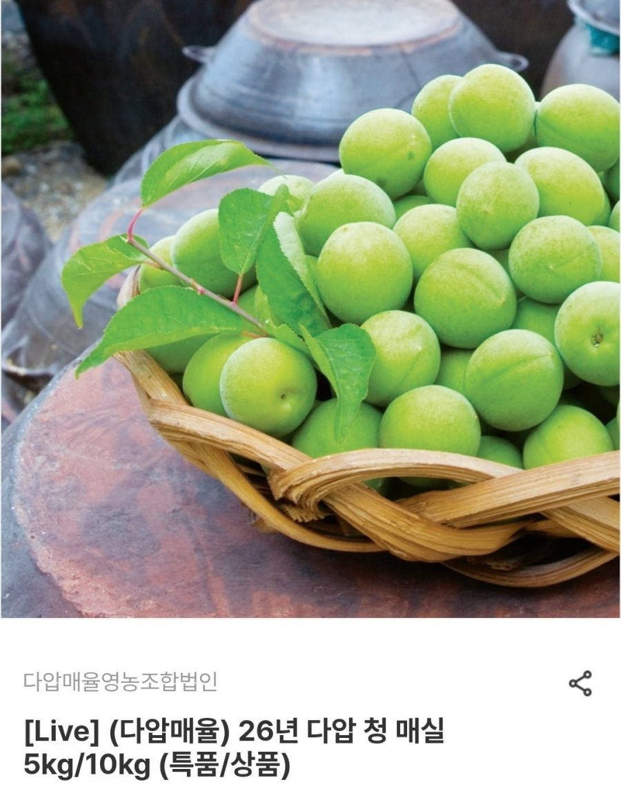 다압 청 매실 5kg 특품 (22,470원/무료)