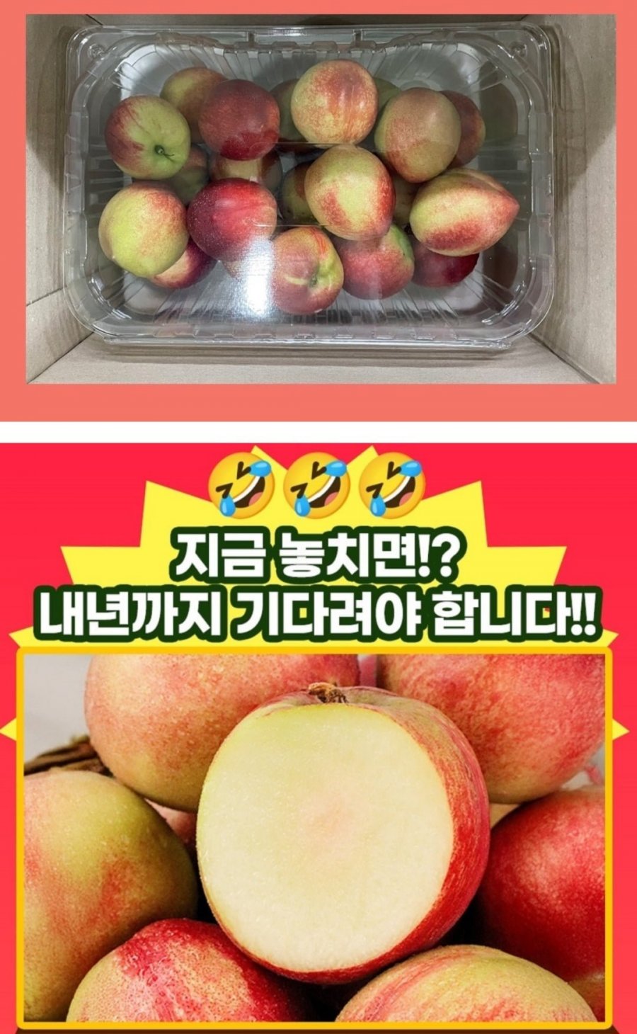 과즙팡팡 신비복숭아 2kg(삼카 12,200원/무배)