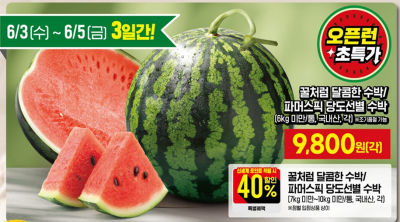 이마트 전단지 (6kg미만 수박 9,800원 외)
