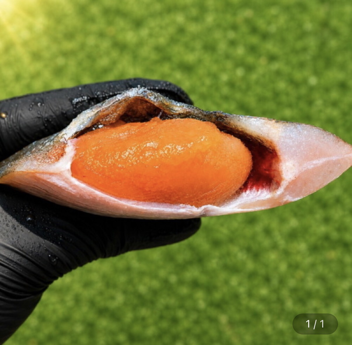 손질 반건조 알 가자미 3미 500g 내외