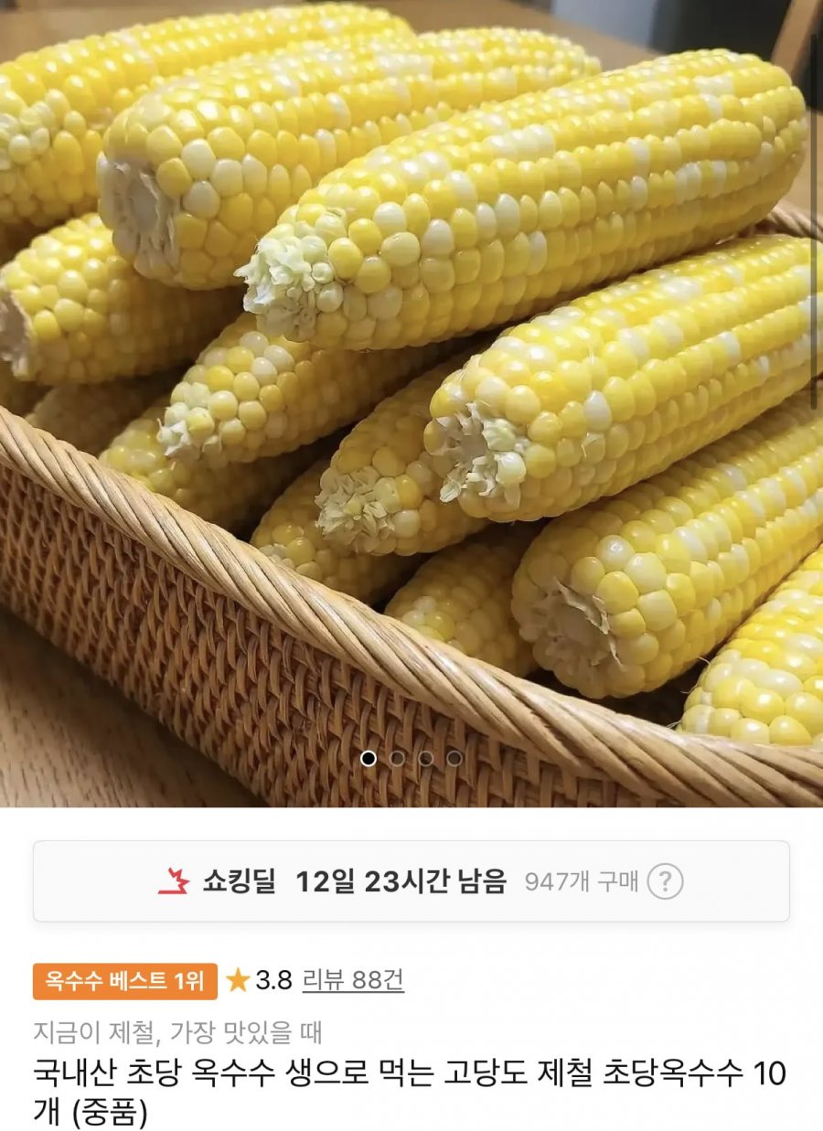 국내산 제철 초당옥수수 10개 중품 (9,910원/무료)