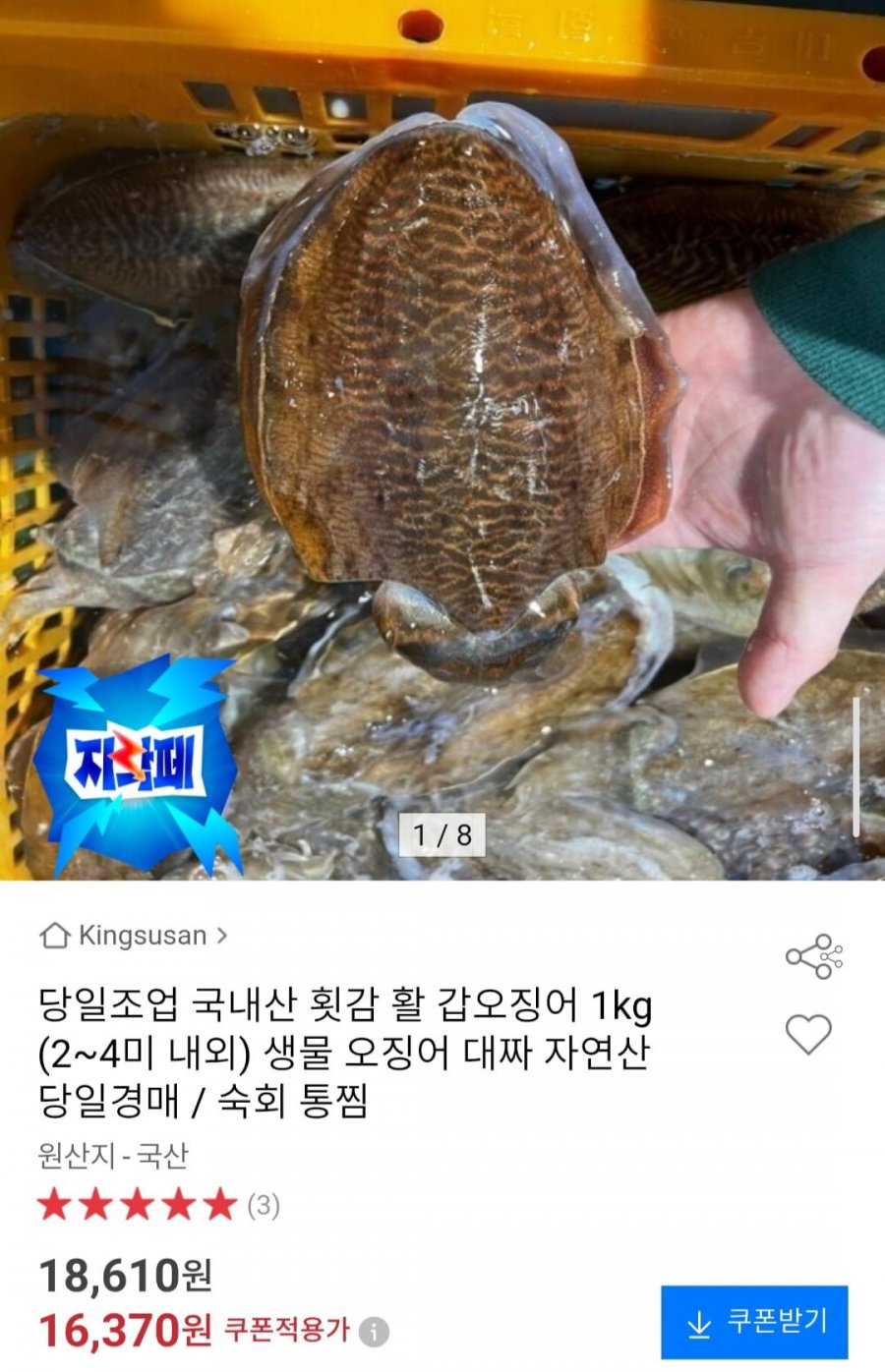 당일조업 국내산 활 갑오징어 1kg (2~4미 내외) (16,370원/2,000원)