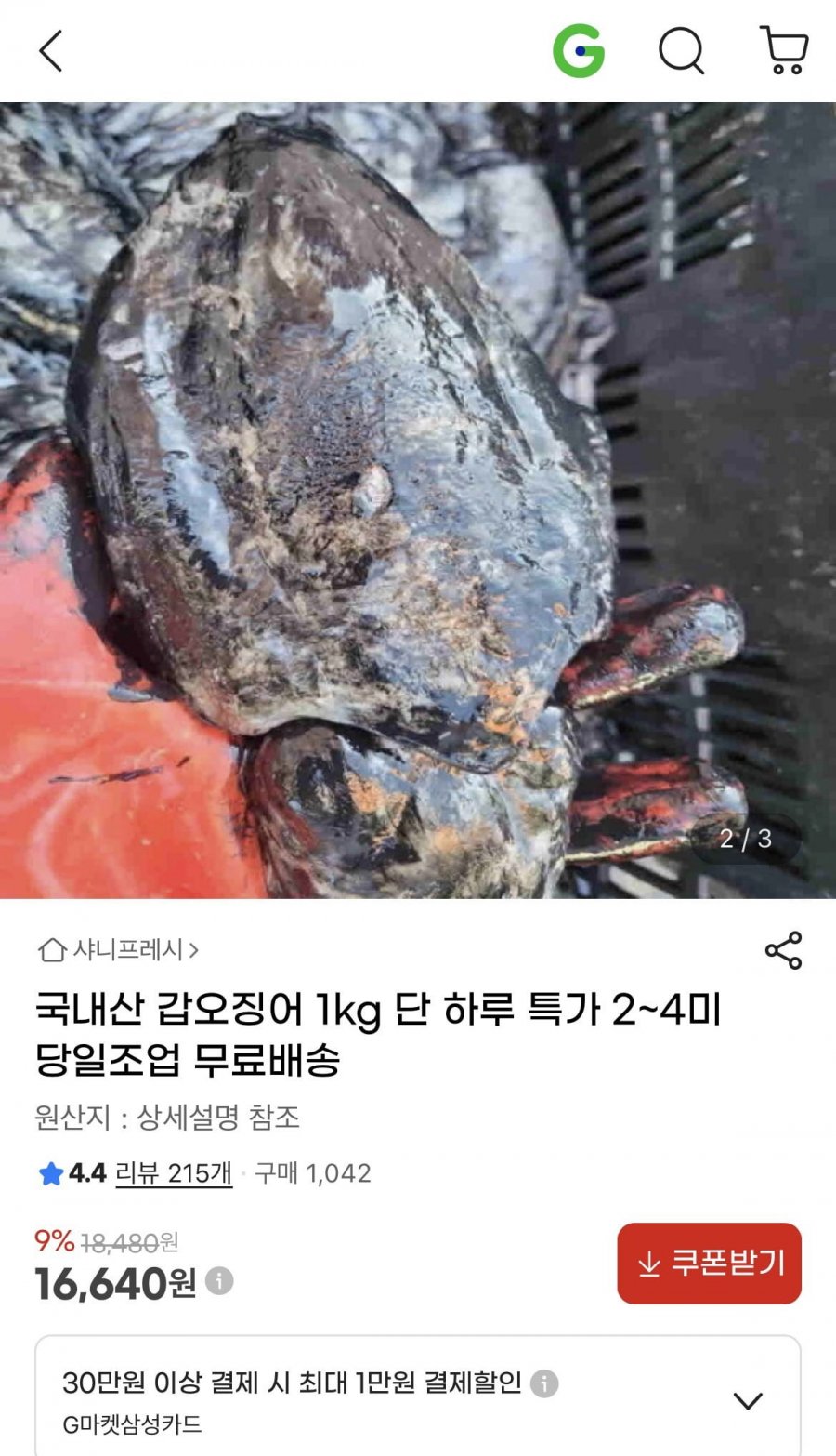 국내산 갑오징어 1kg (16,640원/무료)