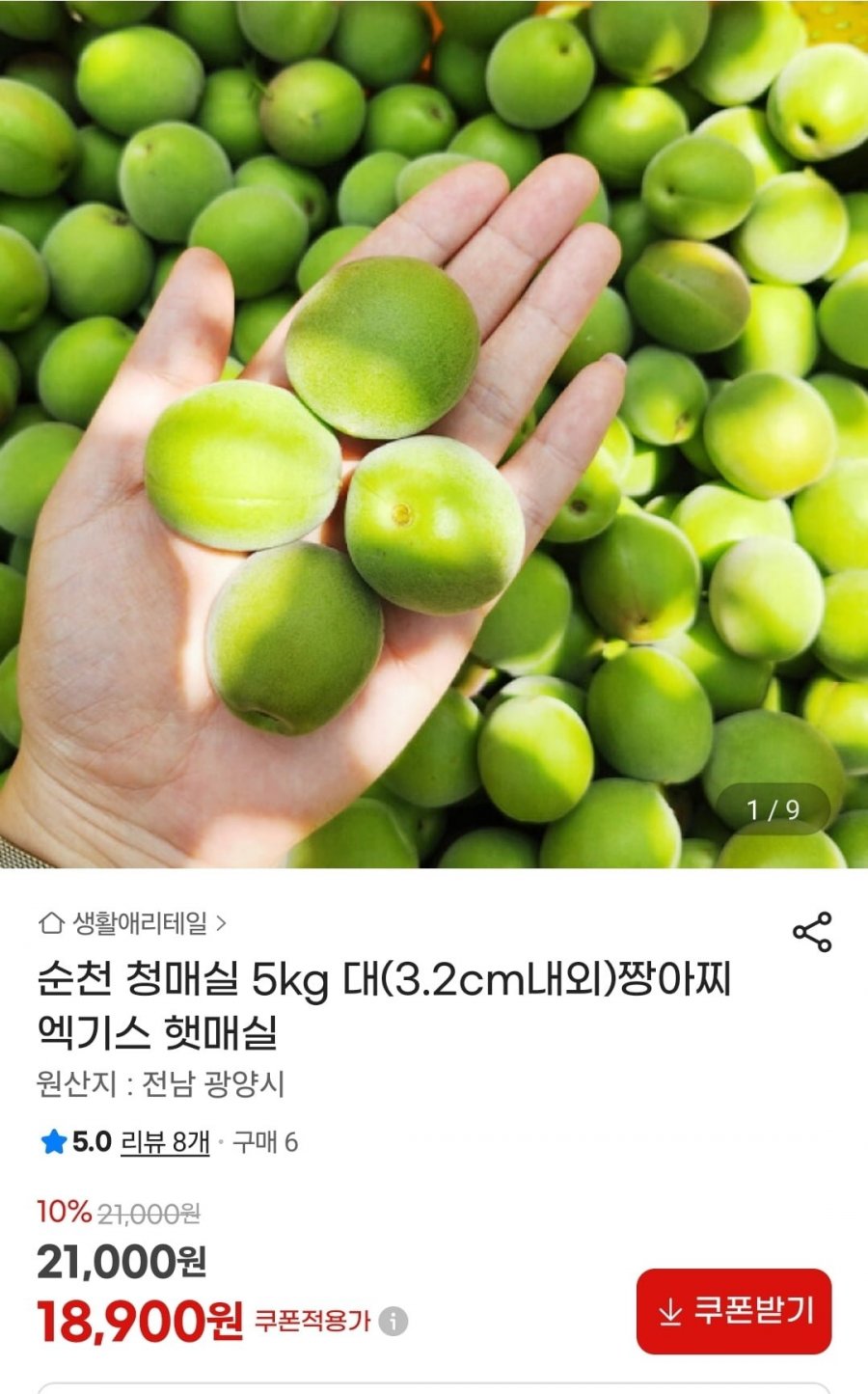 순천 청매실 대과 5kg (18,900원/무료)