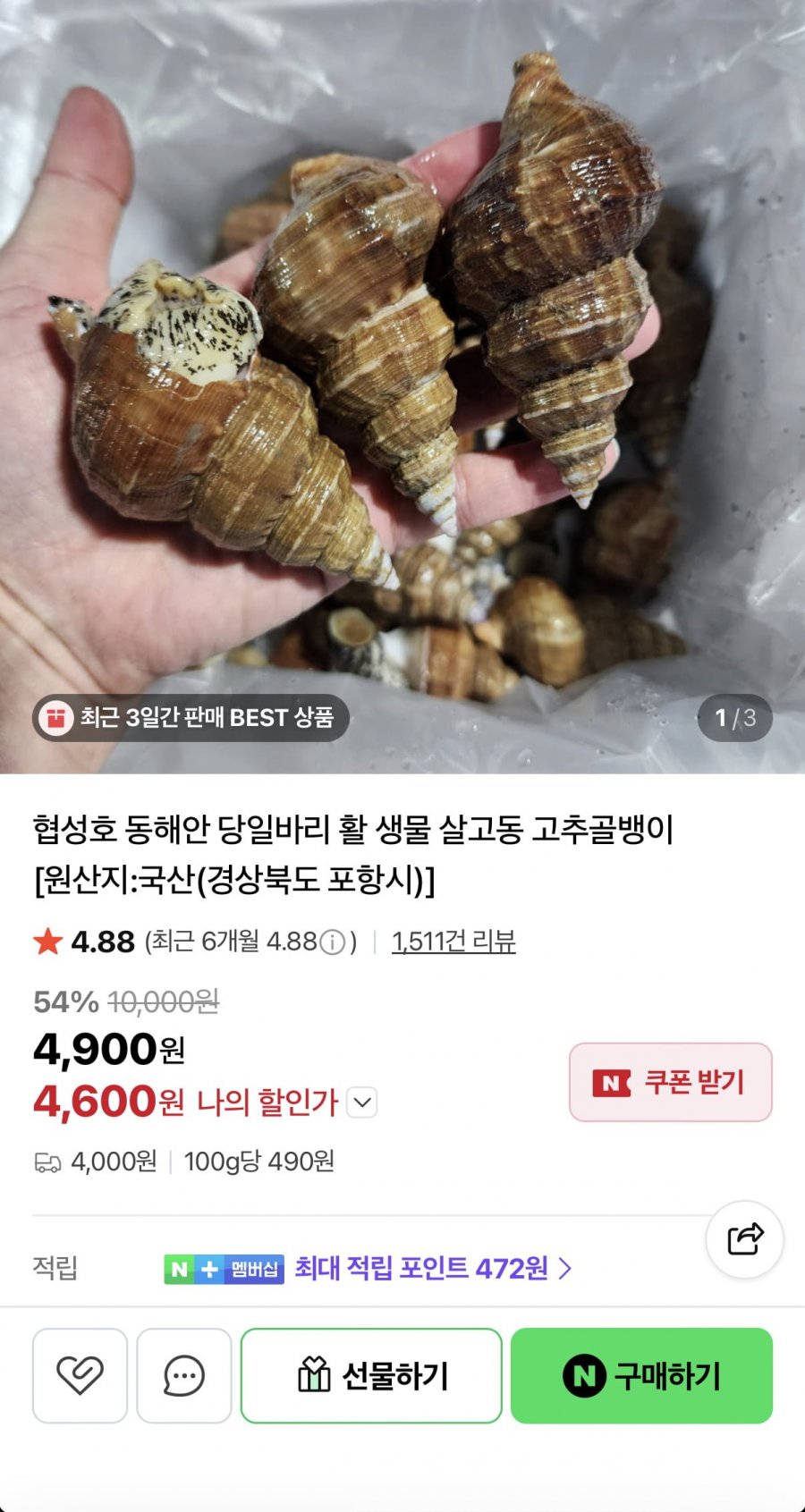 포항 활 살고동 고추골뱅이 소 1kg (4,600원/유료)