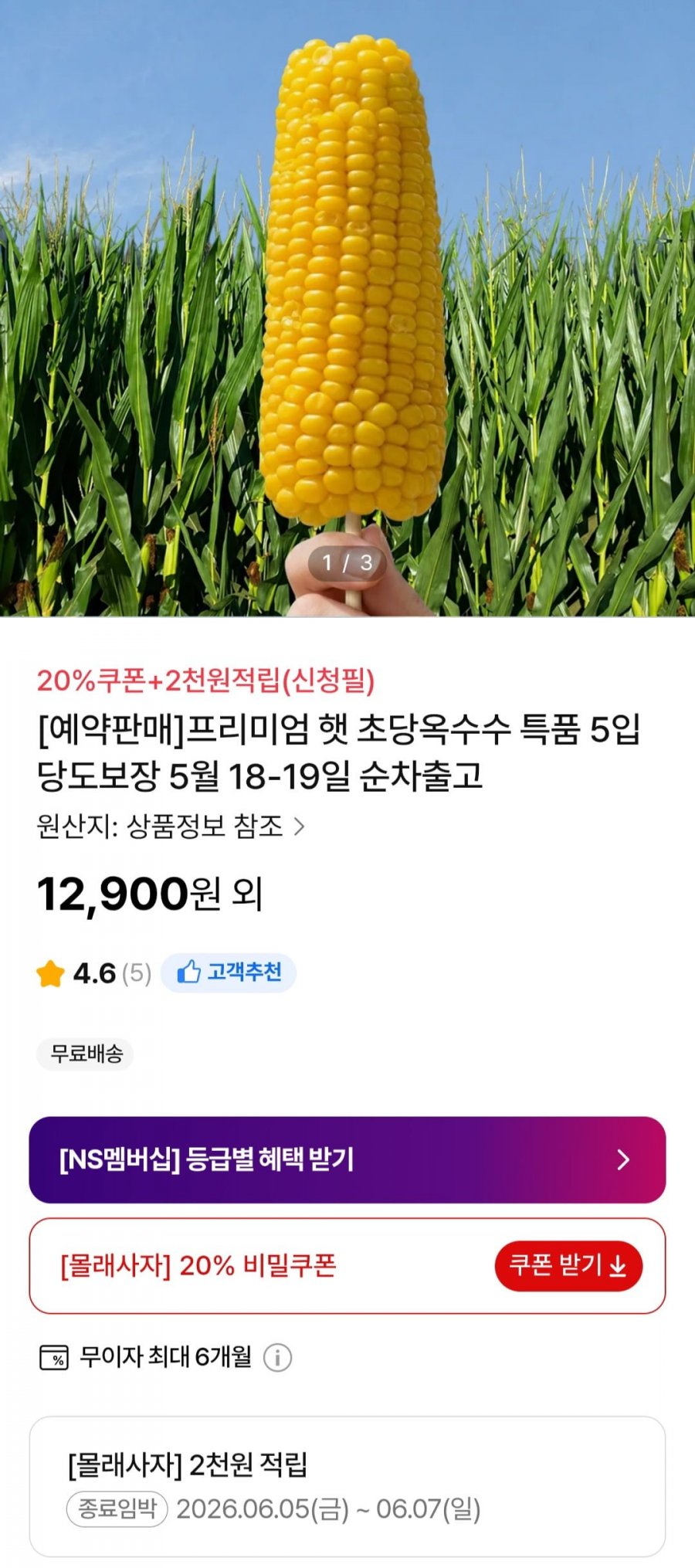 햇 초당옥수수 특품 14cm이상 10개입 + 2천적립 (17,200원/무료)