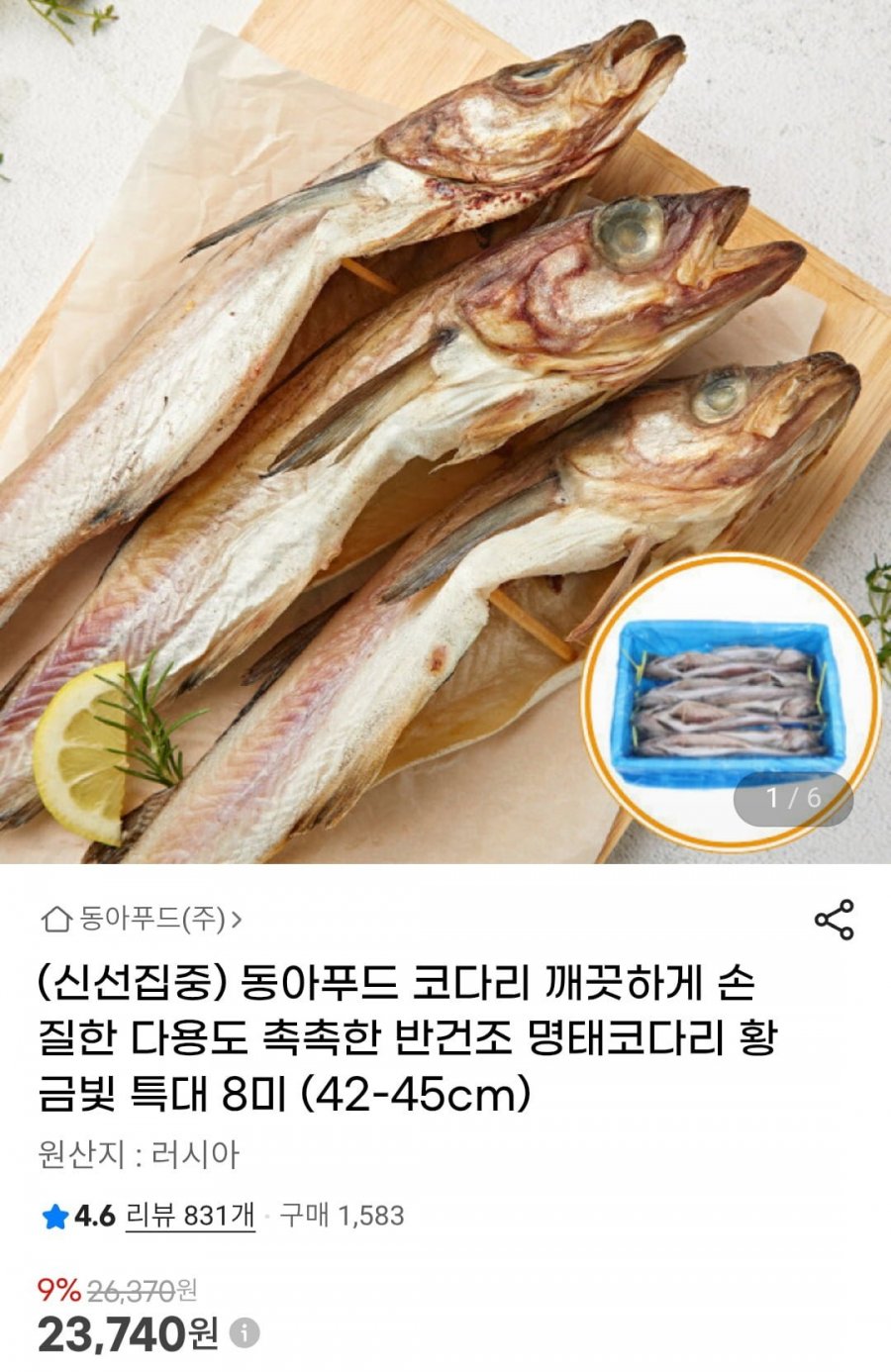손질한 반건조 명태코다리 황금빛 특대 8미 (42-45cm) (23,740원/무료)
