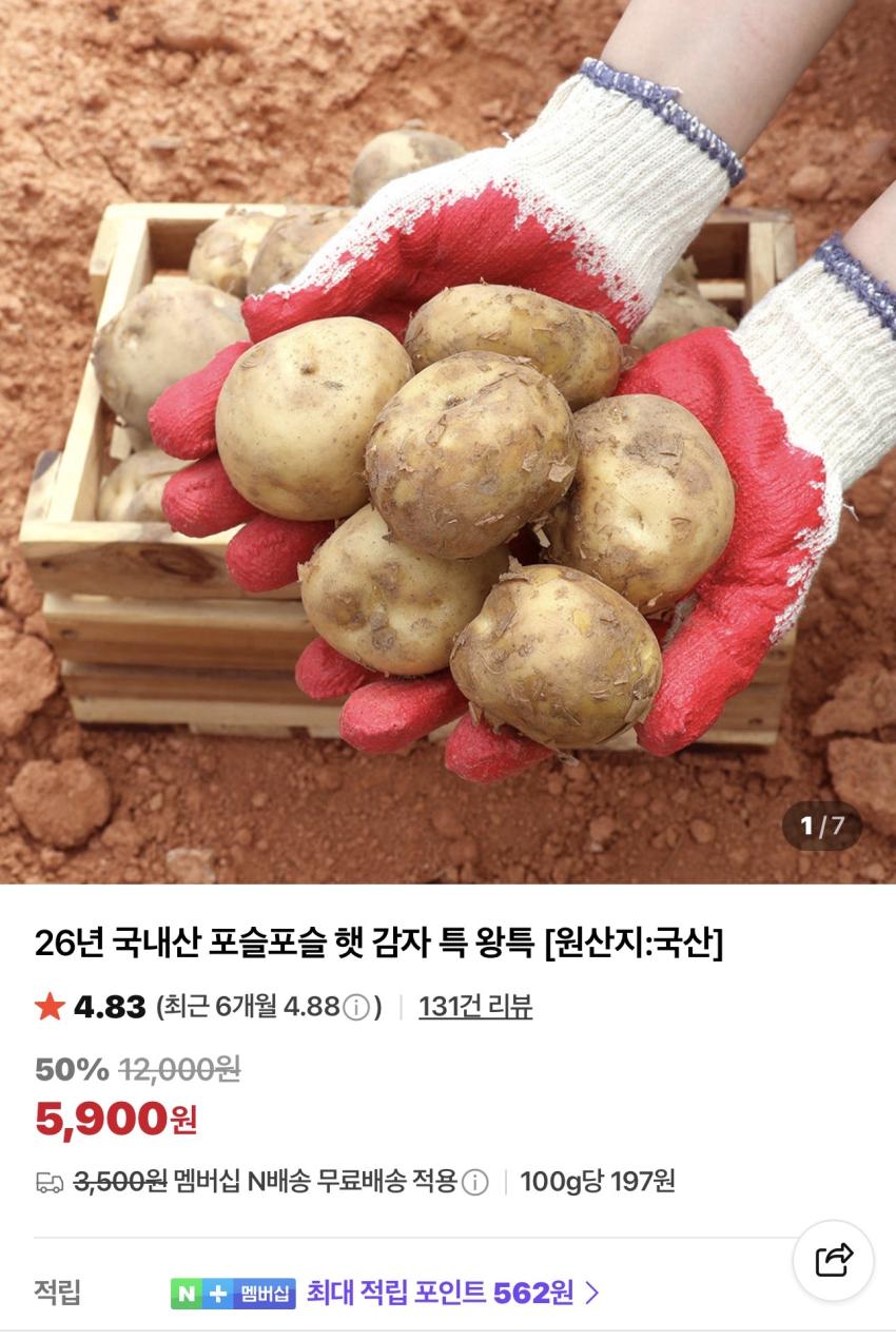 26년 국내산 햇감자 특 5,900원