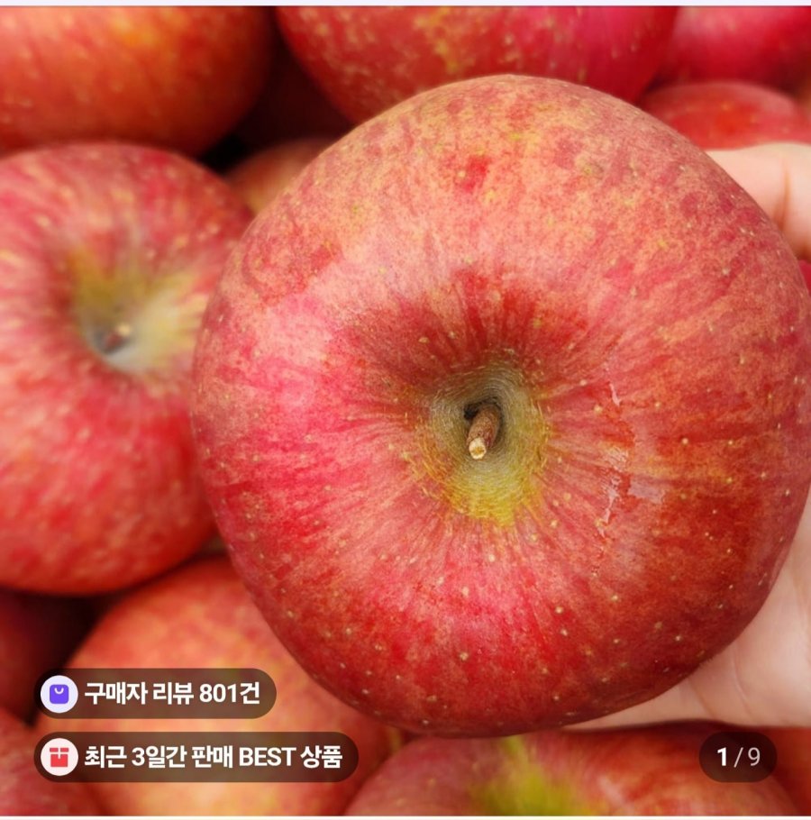 부사사과 10kg 쥬스용 (19,900원/무료)