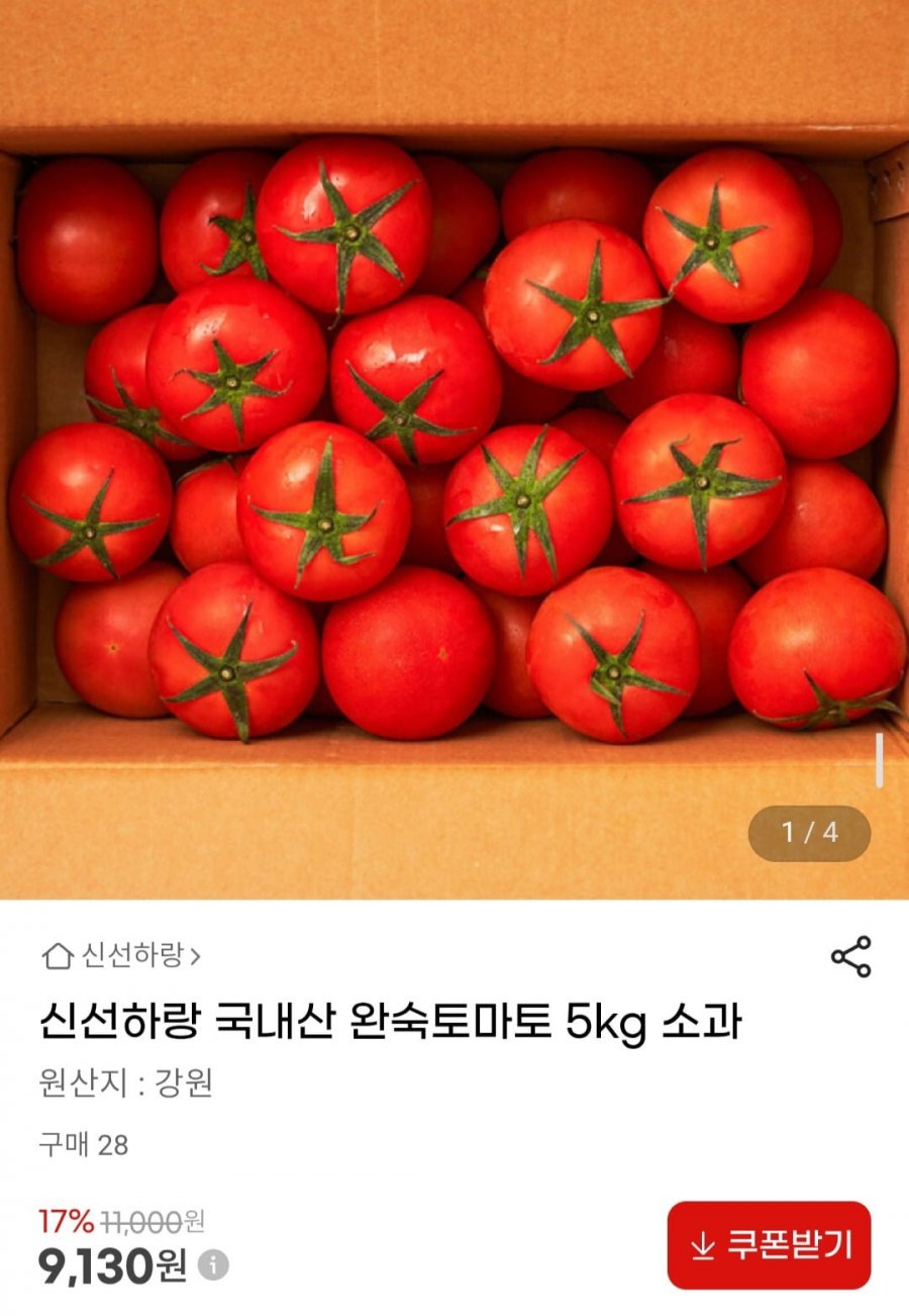 국내산 완숙토마토 5kg 소과 (9,130원/무배)