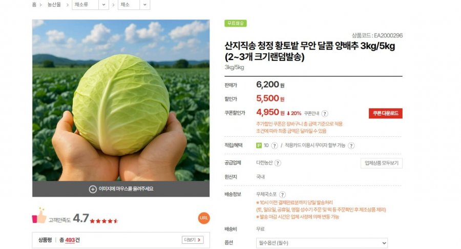 산지직송 청정 황토밭 무안 달콤 양배추 3kg/5kg (2~3개 크기랜덤발송)(4,950/무료)