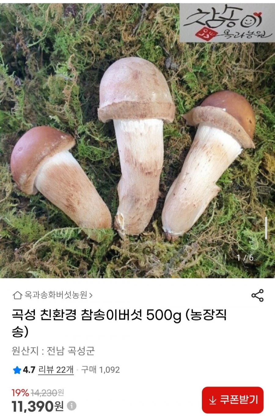 곡성 친환경 참송이버섯 500g (농장직송) (11,390원/무료)