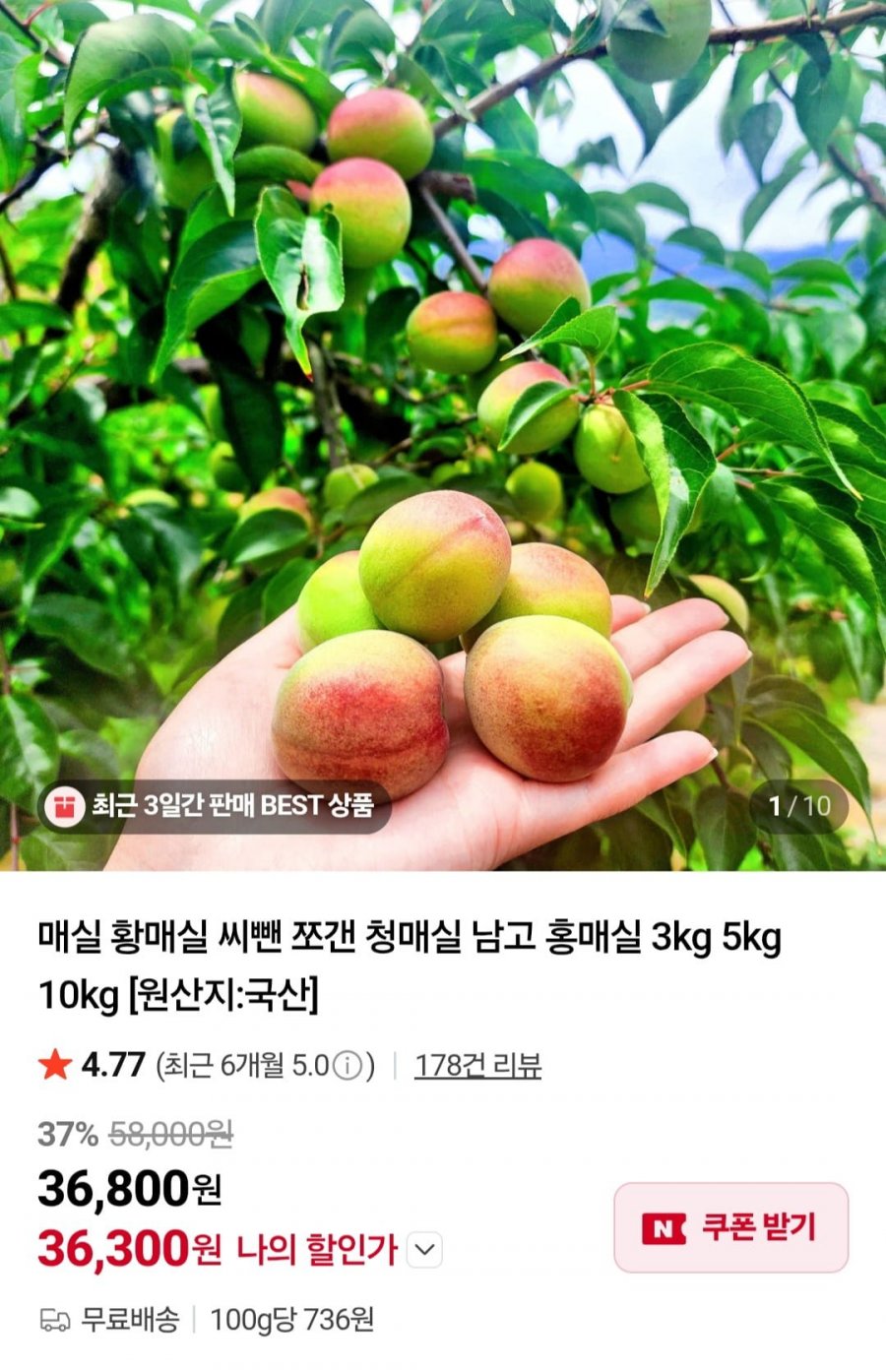 황매실 5kg(왕특) (36,800원/무배)