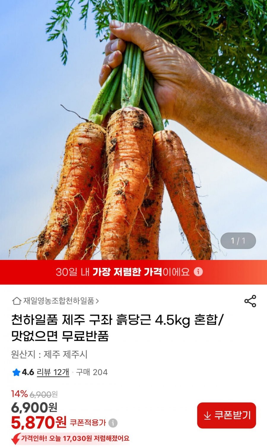 천하일품 제주 구좌 흙당근 4.5kg 혼합(5,870원/무료)