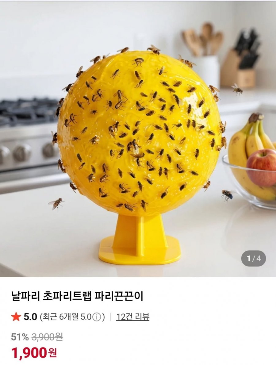 초파리 끈끈이 2개 2300원 무배4