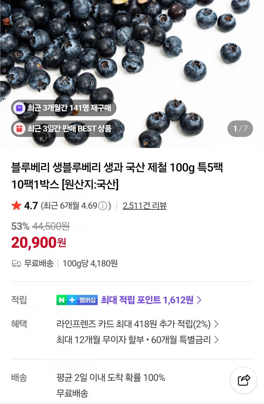 국산 생블루베리 특 100g 5팩 (20,900원/무료)