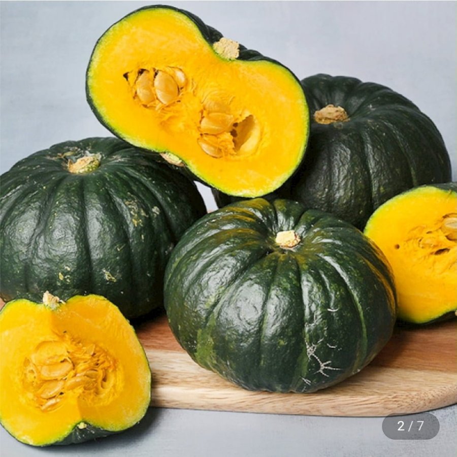 제주 미니단호박 보우짱 2kg 특품 (9,960원/무배)