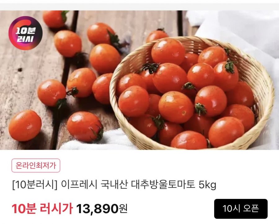 10분러시 국내산 탱글탱글 대추방울토마토 5kg 3-4번과(소과)(13,890원/뮤료)