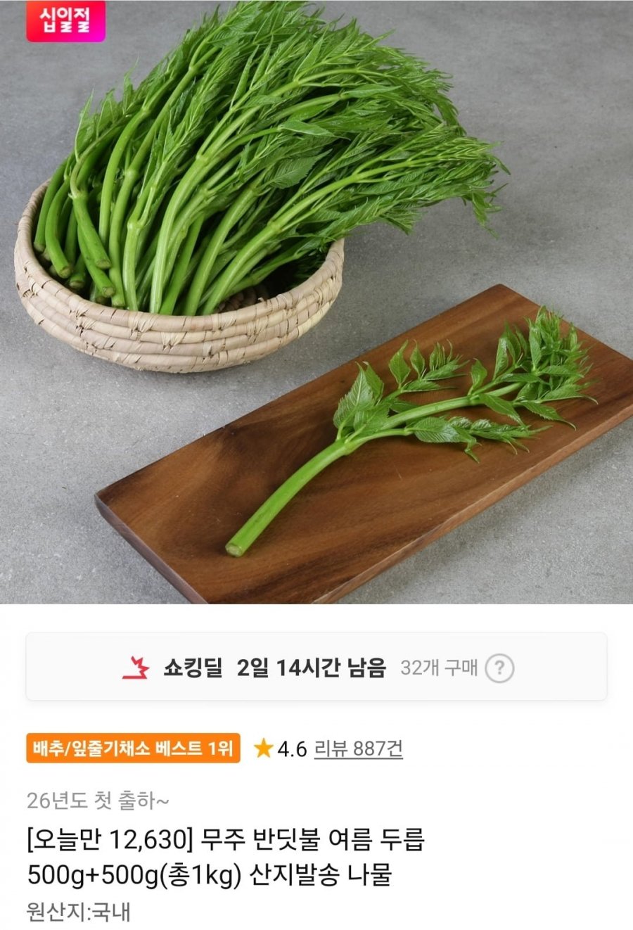 무주 반딧불 여름 두릅 500g+500g 총1kg (12,630원/무료)