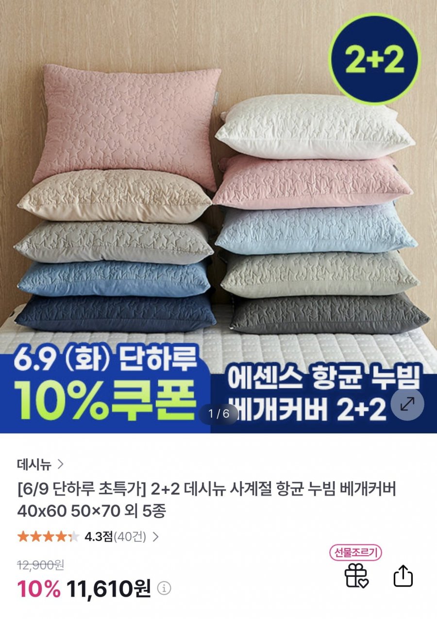 2+2 데시뉴 사계절 항균 누빔 베개커버 40x60 50x70 외 5종 (11,610/무료)