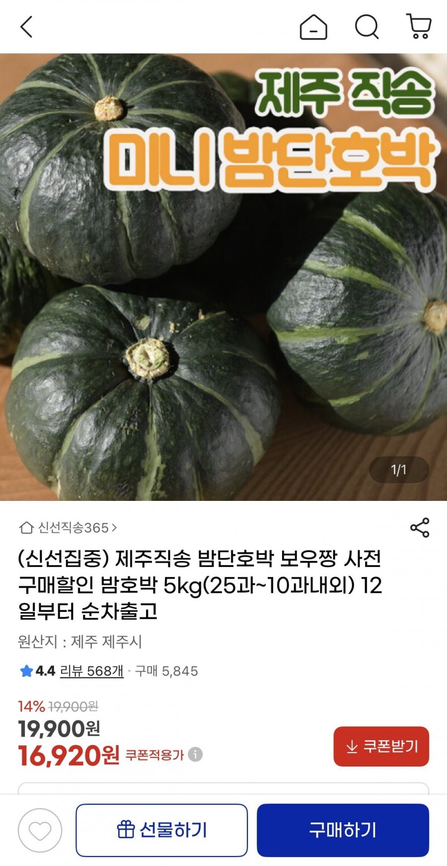제주직송 밤단호박 보우짱 5kg (16,920원/무배)