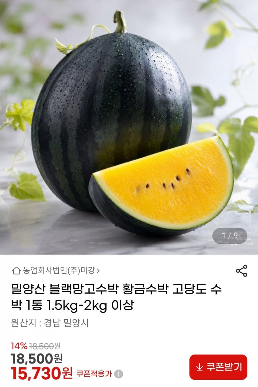 밀양산 블랙망고수박 고당도 황금수박 1통 1.5kg-2kg 이상 (15,730원/무배)