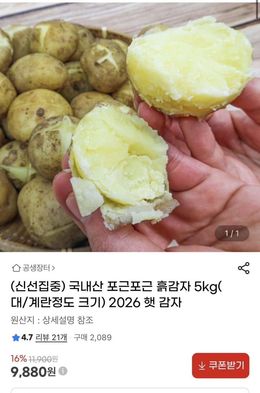 국내산 햇감자 흙감자 대 사이즈 5kg (9880원/무배)
