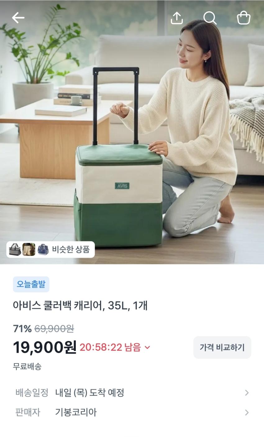 아비스 쿨러백 캐리어 35L, 19,900원