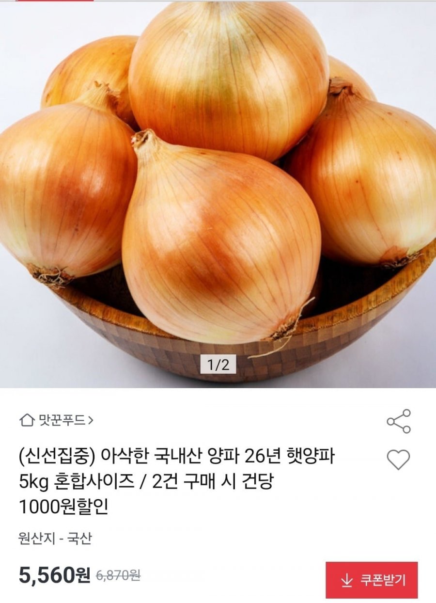 국내산 26년 햇양파 5kg 혼합 외 사이즈 다양 (5,560원~/무료)