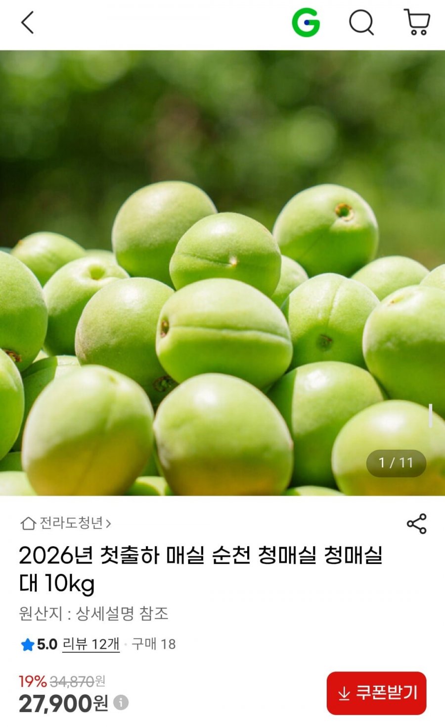 2026년 첫출하 매실 순천 청매실 대 10kg (27,900원/무배)