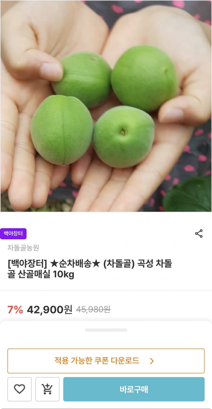곡성 차돌골 산골매실 10kg (31,320원/무배)