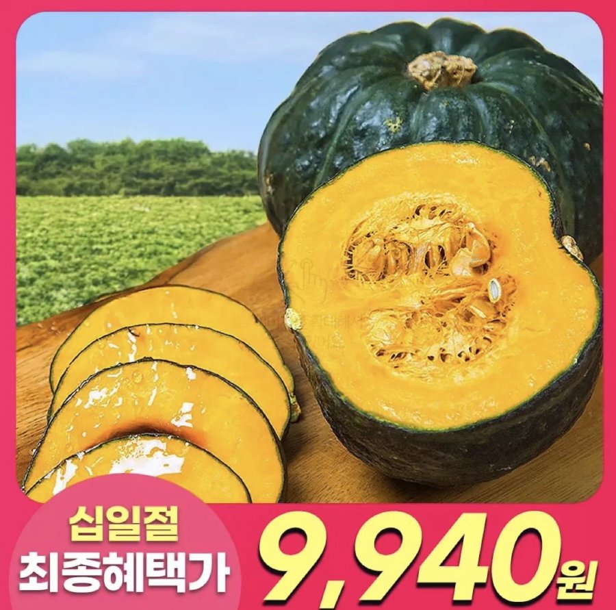 제주 햇 미니단호박 보우짱 2kg 특품 (9,940원/무배)