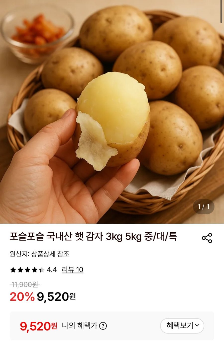 국내산 햇 감자 5kg 대 (9,520원/무료)