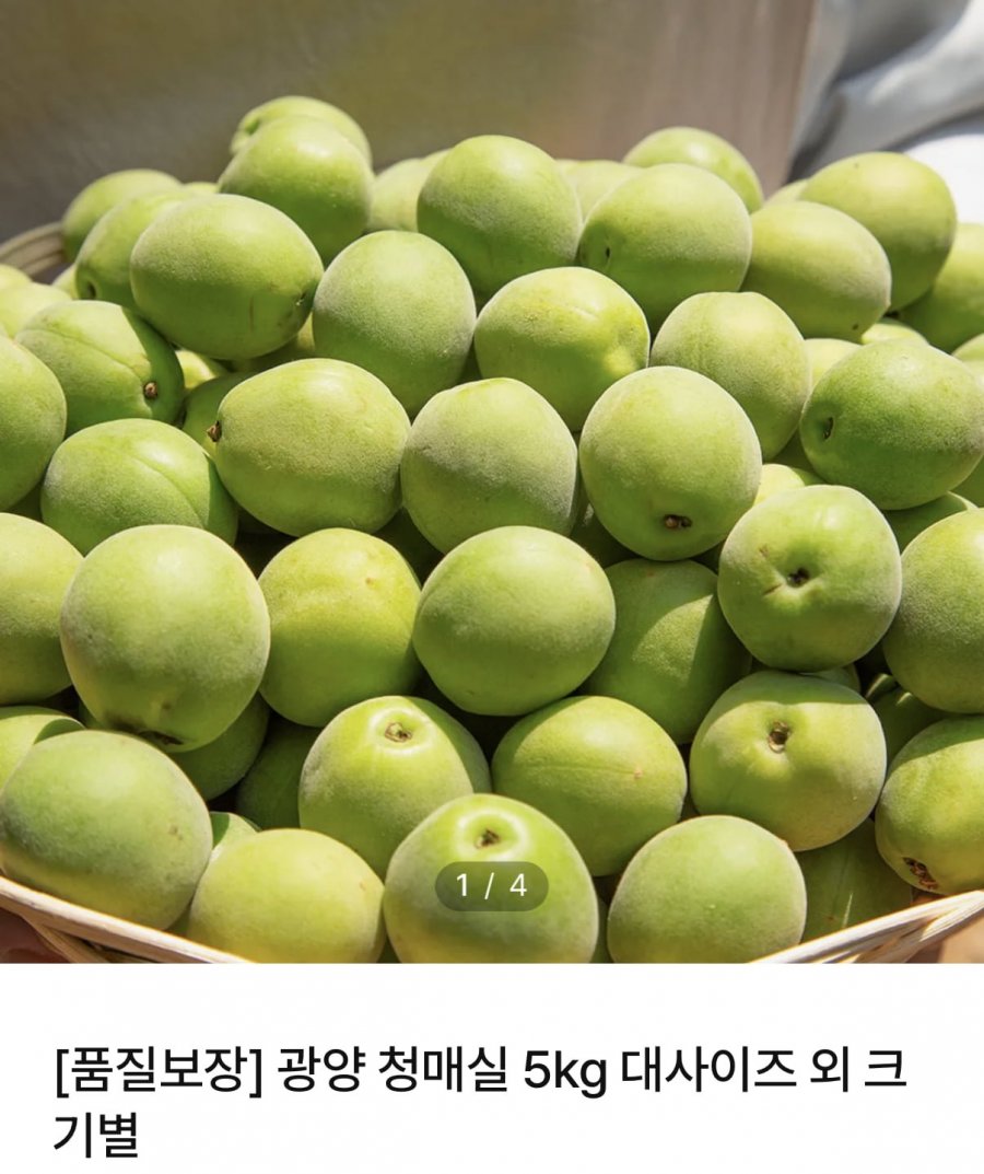 광양 청매실 대과 5kg (13,900원/배송비쿠폰무료)