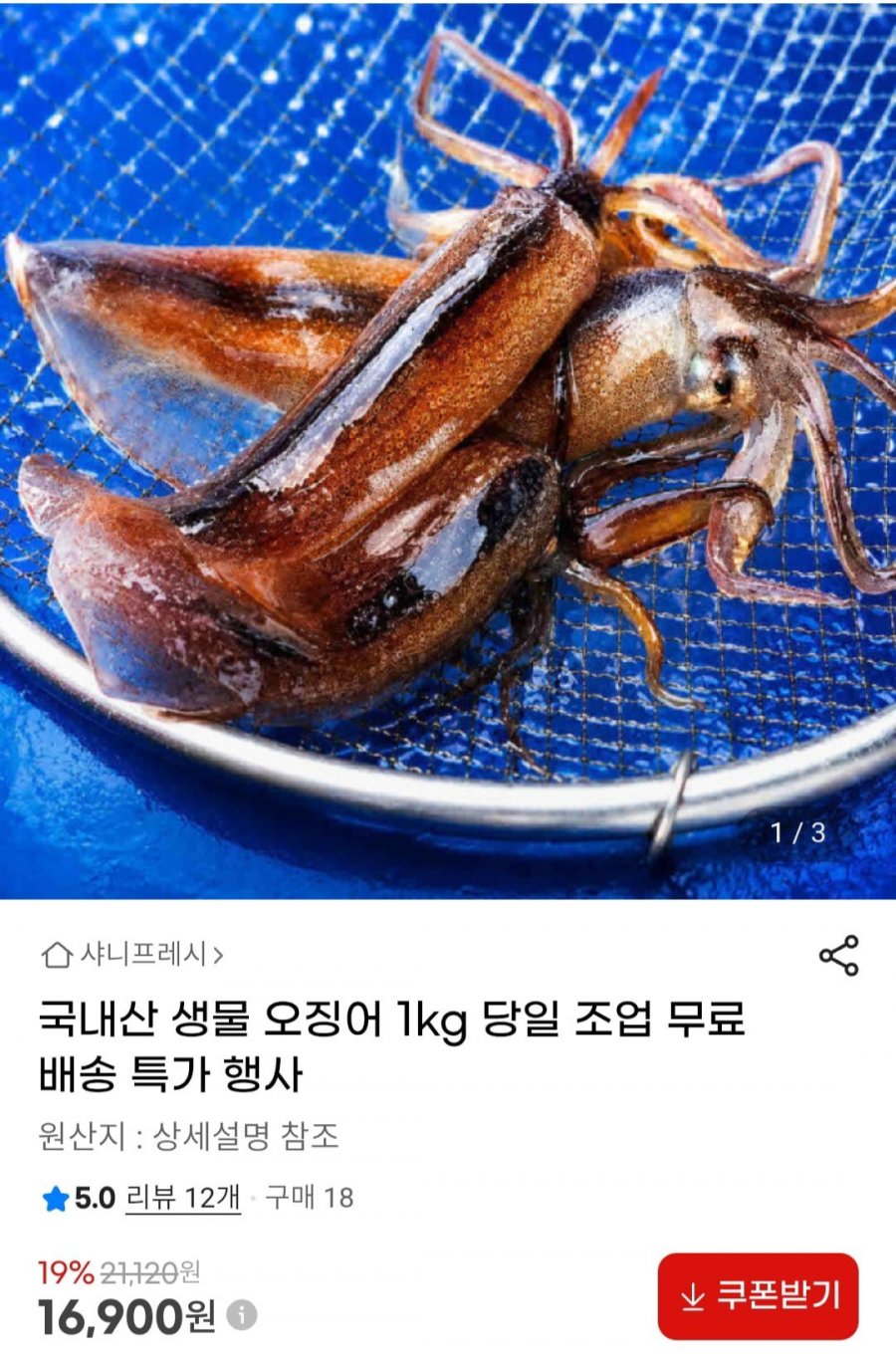 국내산 생물 오징어 1kg 당일 조업 (16,900원/무료배송)