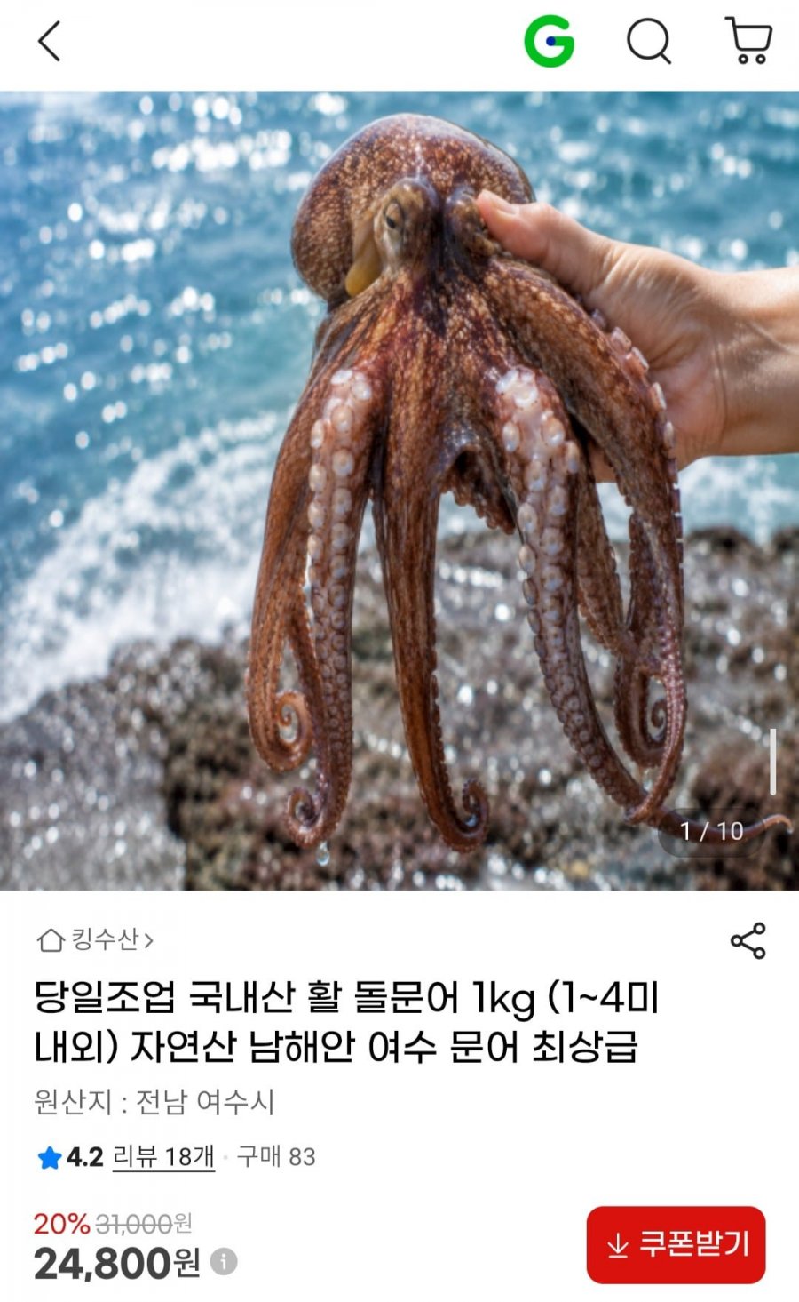 당일조업 국내산 활 돌문어 1kg (1~4미 내외) (24,800원/무배)
