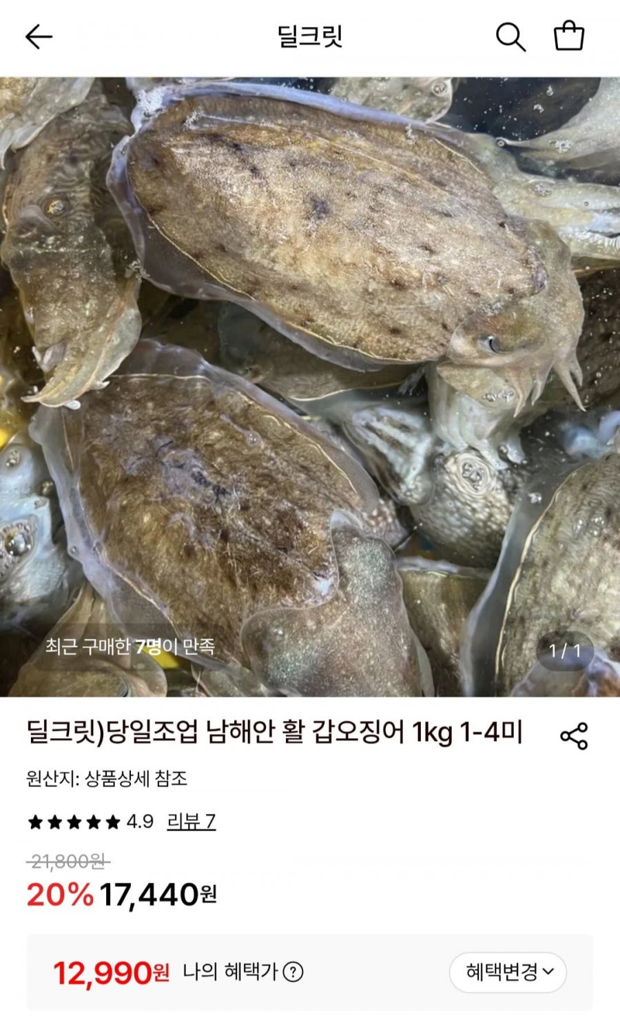 당일조업 남해안 활 갑오징어 1kg 1-4미 (12,990원/무료)