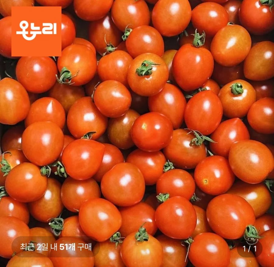 대추방울토마토 5kg 혼합과 (13,120원/무료)