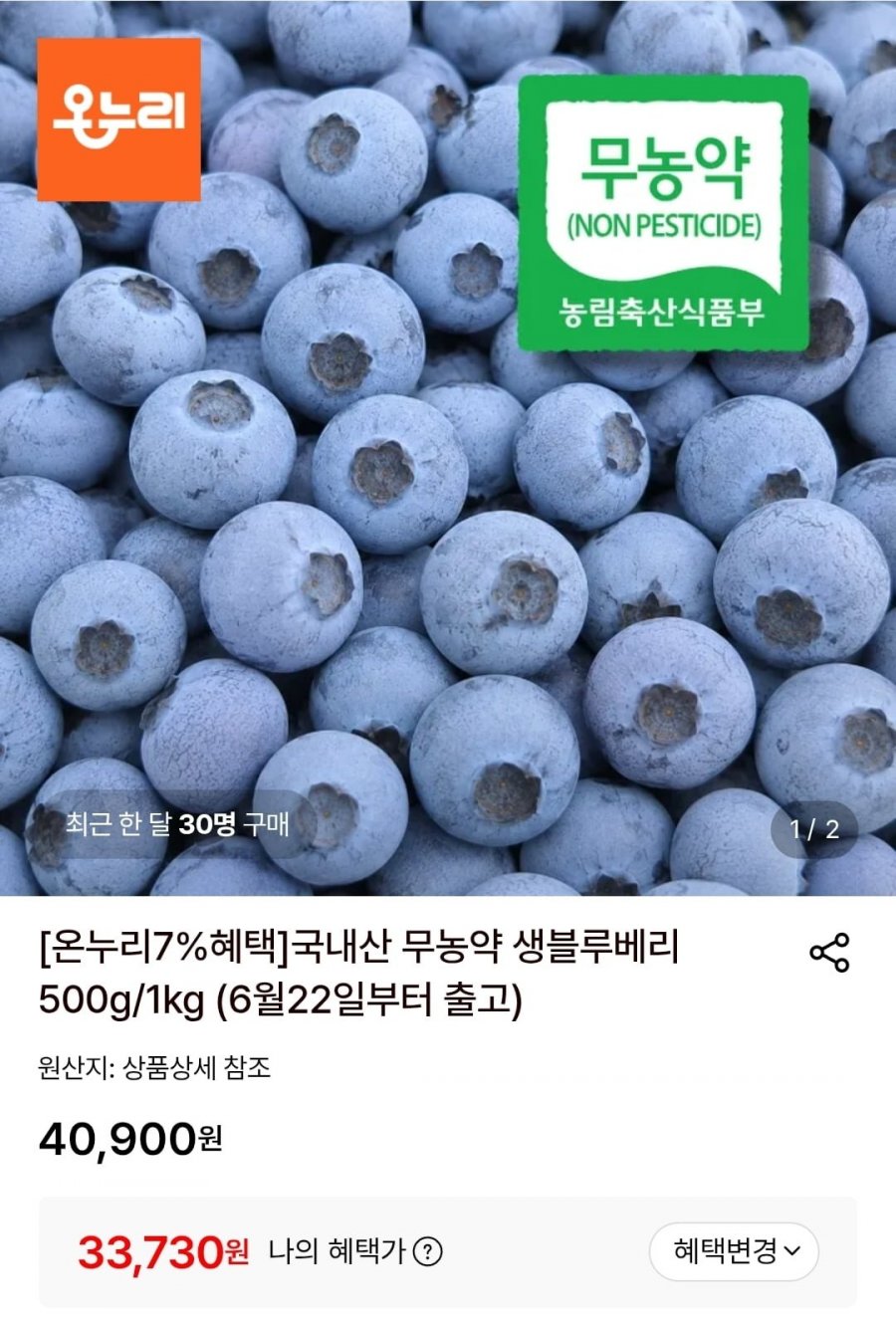 국내산 무농약 생블루베리 1kg (33,730원/무료)