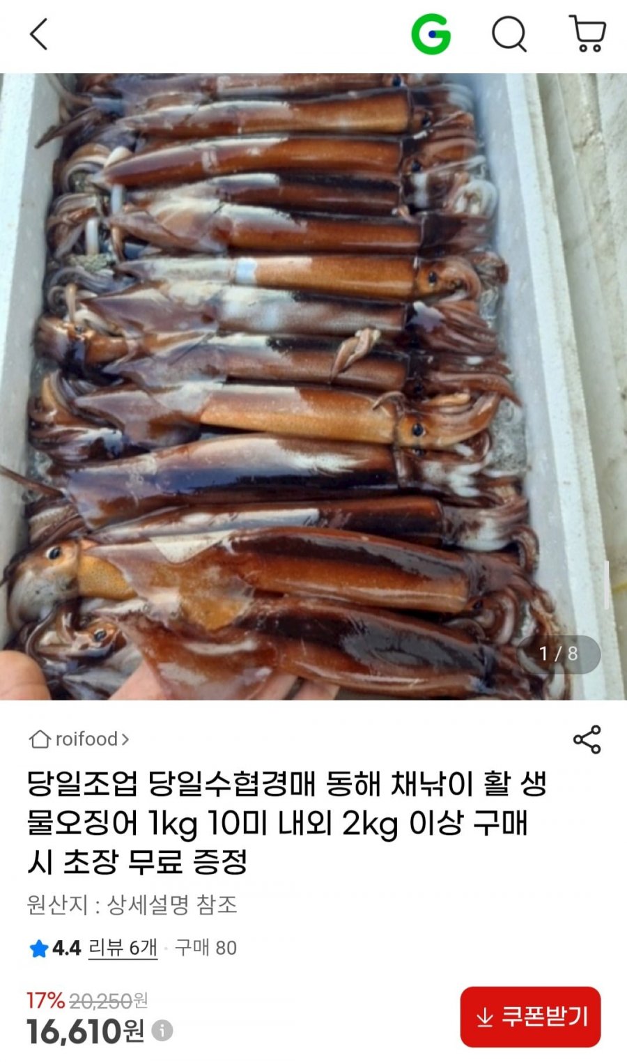 당일조업 동해 채낚이 활 생물오징어 1kg 4-8미 내외 (16,610원/무배)