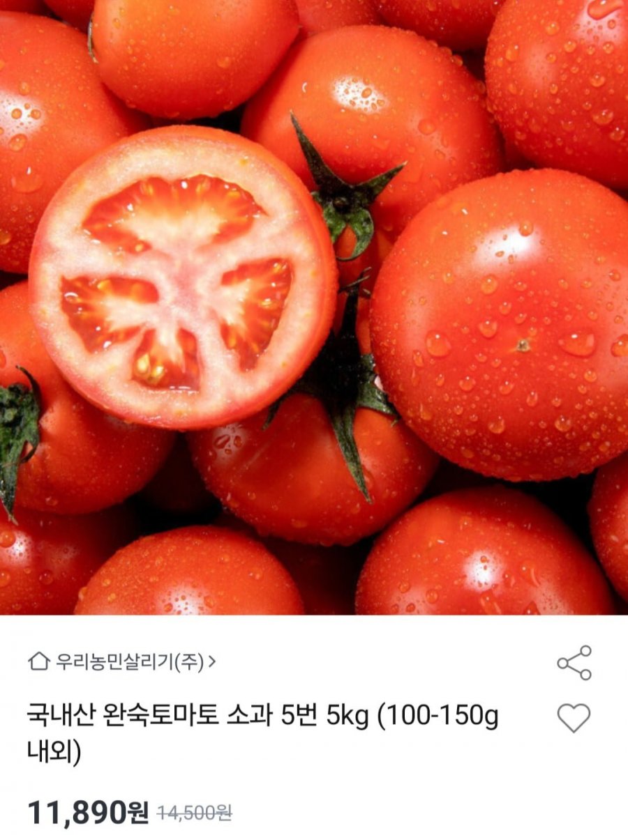 국내산 완숙토마토 소과 5번 5kg (11,890원/무배)