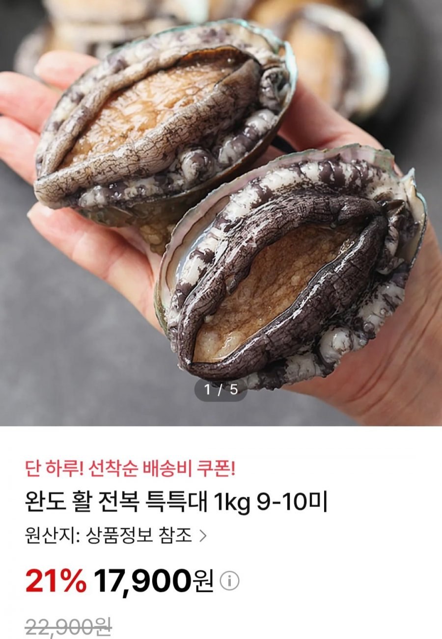 완도 활 전복 특특대 1kg 9-10미(17,900원/배송비지원)