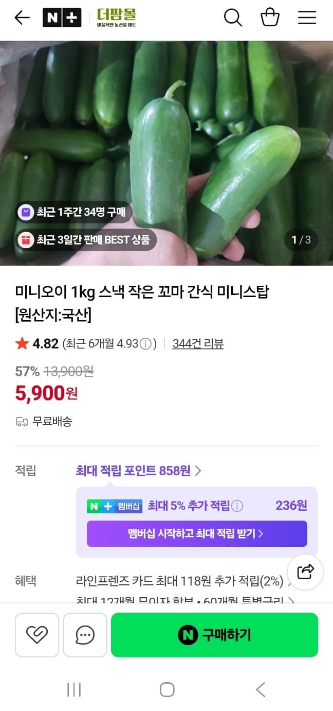 미니오이 1kg (5900원/무배)