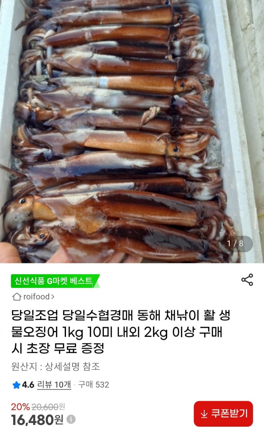 동해 채낚이 활 생물오징어 1kg 10미내외 (16,480원/무료)