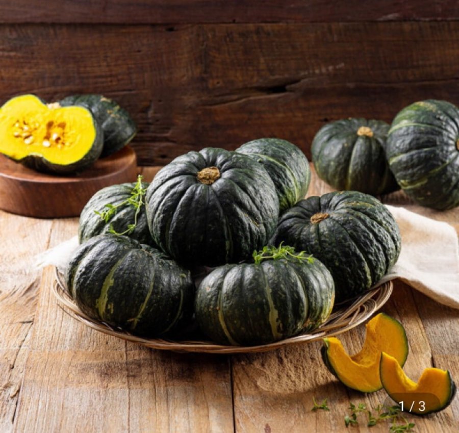 제주 미니 밤호박 단호박 2kg(4-9과) (9,180원/무료)