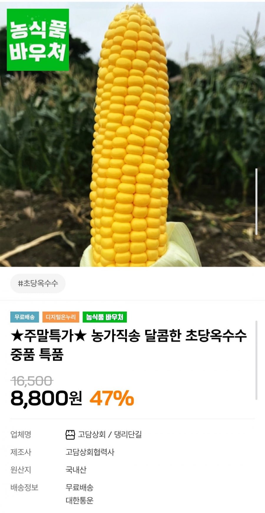 달콤한 초당옥수수 5개/10개 (8,800원~/무료)